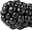 Blackberry