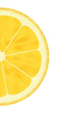 Lemon slice